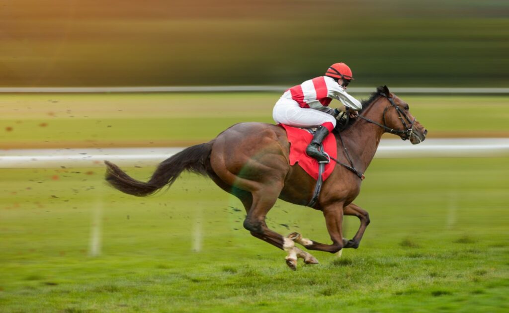 A jockey rides a horse along a grass race track.