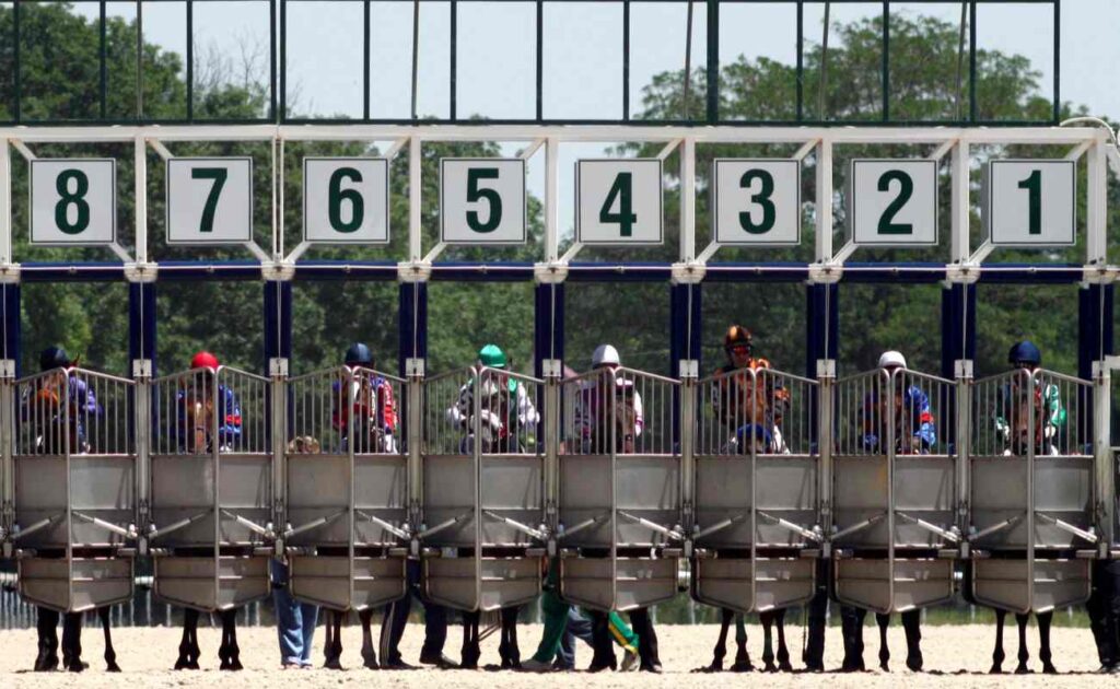 Several horses and their jockeys wait behind closed starting gates in a race that’s about to begin.