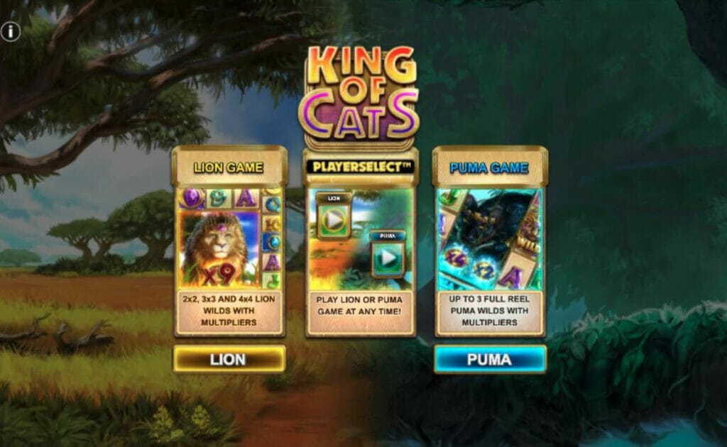 King of Cats online slot PLAYERSELECT screen.