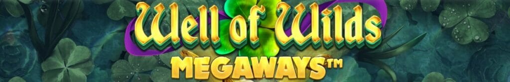 A screenshot of the Well of Wilds Megaways title.