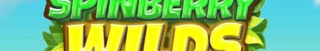 Gameplay in Spinberry Wilds by Spinberry