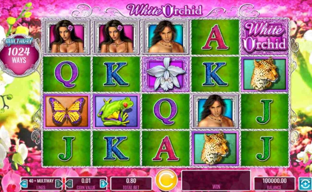 White Orchid online slot game with playing cards, frogs, butterflies, leopards, men and woman symbols on the green reels. The background includes the color pink with white and green flowers.