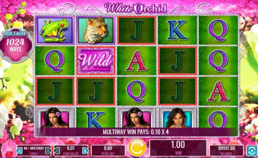 White Orchid online slot game with green reels. The reels contain playing cards, a wild symbol, a frog, a leopard, and men and women symbols. The background is pink with white and green flowers.