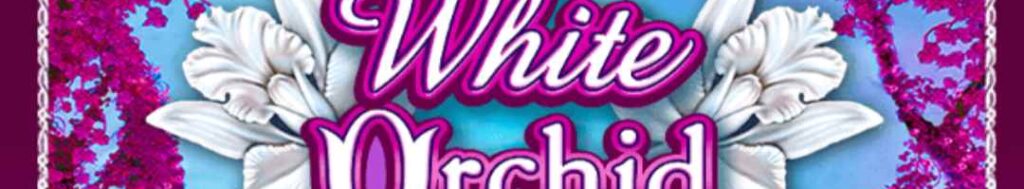 White Orchid online slot game logo in pink and white. There are white orchids around the font. The background is pink with a body of water.
