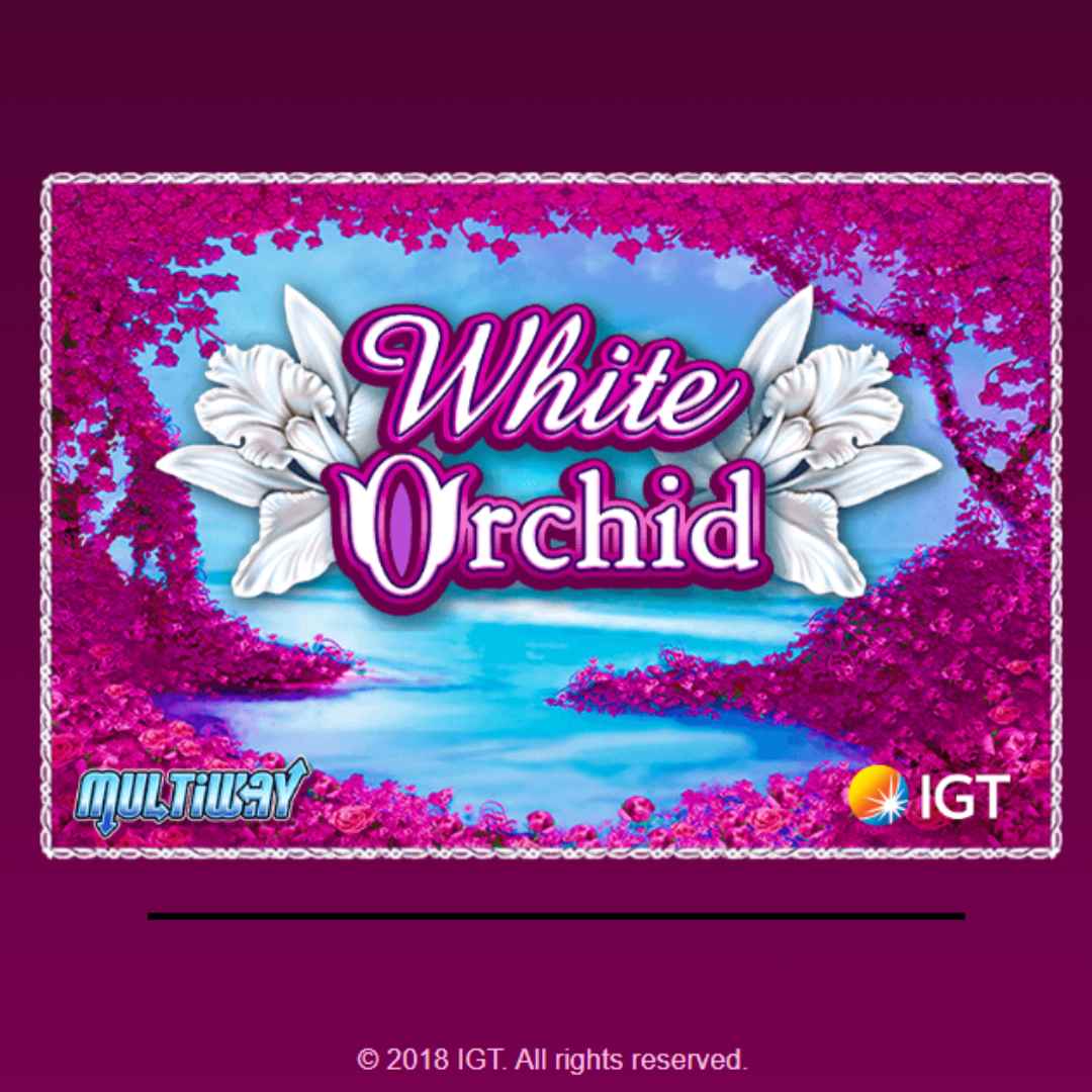 White Orchid online slot game logo in pink and white. There are white orchids around the font. The background is pink with a body of water.