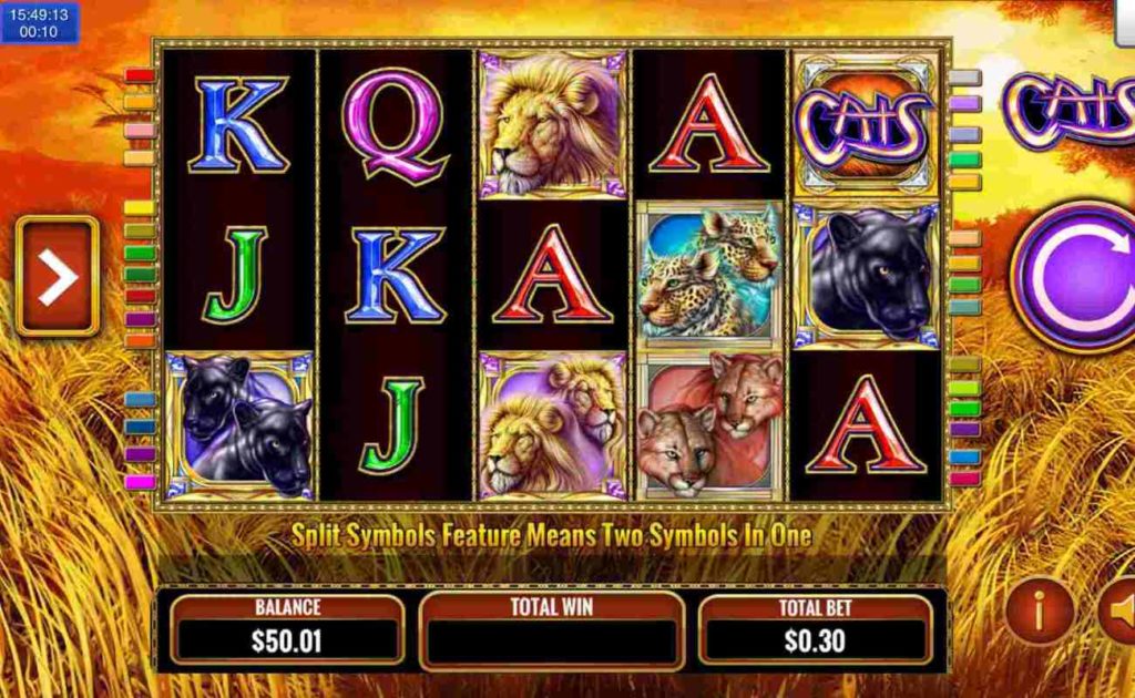 Cool cats casino slot game