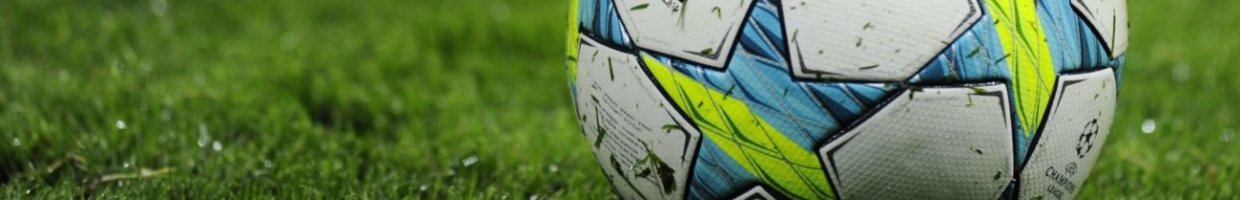 French midfielder Franck Ribery soccer shoe on the soccer ball