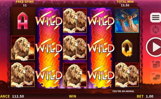 Animals of Africa online slot by DGC.
