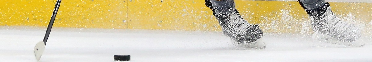 hockey puck, stick and player’s ice skates