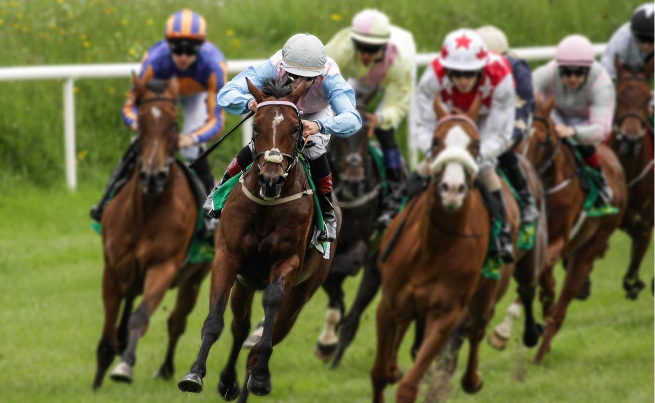 Head-on view of galloping racehorses and jockeys racing