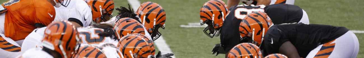 Cincinnati Bengals offensive and defensive units face off at the line during a scrimmage