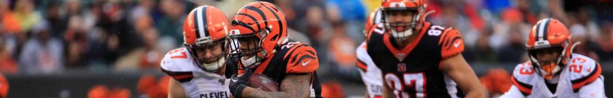 Cincinnati Bengals against the Cleveland Browns at Paul Brown Stadium on December 29, 2019