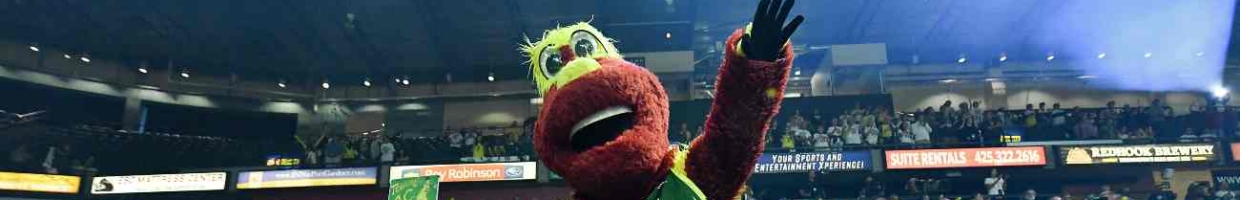 EVERETT, WASHINGTON - SEPTEMBER 11: Doppler the Seattle Storm mascot gets the crowd ready for the game against the Minnesota Lynx before the first game of the WNBA playoffs at the Angel of the Winds Arena on September 11, 2019 in Everett, Washington. (Photo by Alika Jenner/Getty Images)