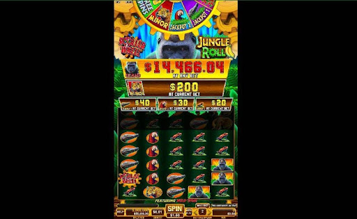 Roller Wheel Jungle Roll online slot by Spin Games.